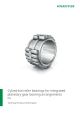 Cylindrical roller bearings for integrated planetary gear bearing arrangements